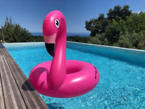 Piscine Mer et Maquis